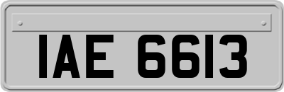 IAE6613