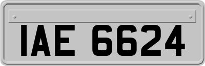 IAE6624