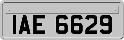 IAE6629