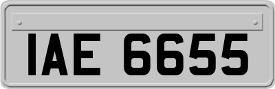 IAE6655