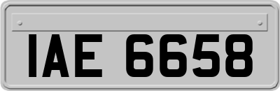 IAE6658