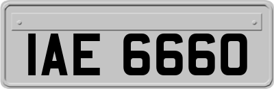 IAE6660