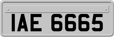 IAE6665