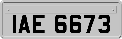 IAE6673