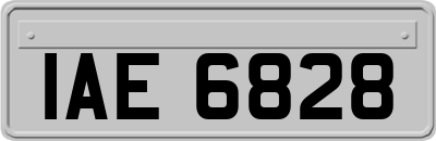 IAE6828