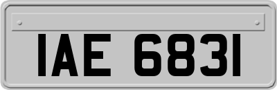IAE6831