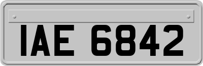 IAE6842