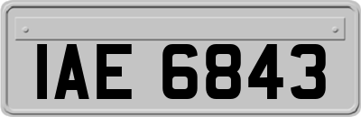 IAE6843