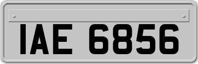 IAE6856