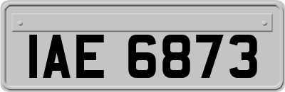 IAE6873
