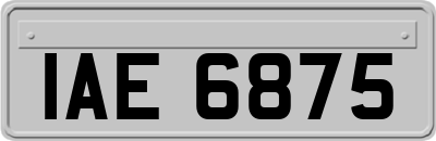 IAE6875
