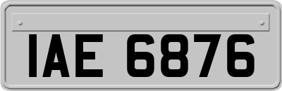 IAE6876