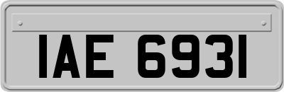 IAE6931