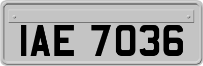 IAE7036