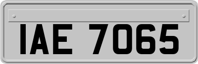 IAE7065