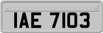 IAE7103