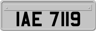 IAE7119