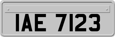 IAE7123