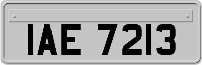 IAE7213