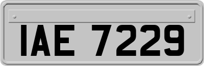 IAE7229