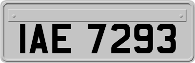 IAE7293