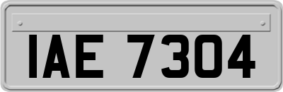 IAE7304