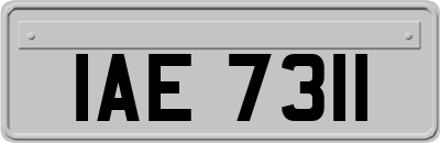 IAE7311