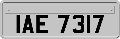 IAE7317