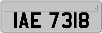 IAE7318