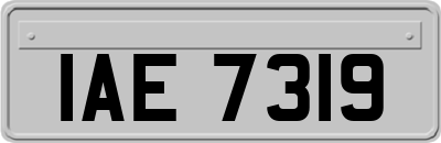 IAE7319