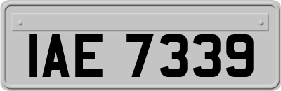 IAE7339