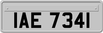 IAE7341