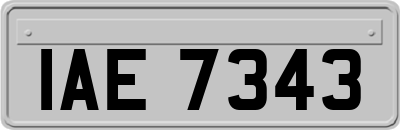 IAE7343