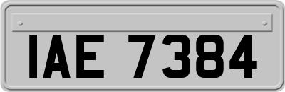 IAE7384