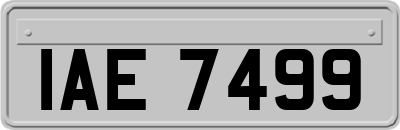 IAE7499