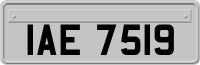 IAE7519