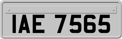IAE7565