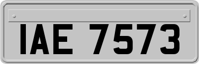 IAE7573