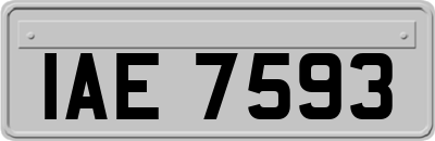 IAE7593