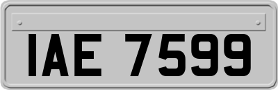 IAE7599