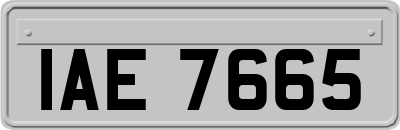 IAE7665
