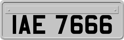 IAE7666