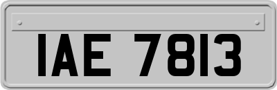 IAE7813