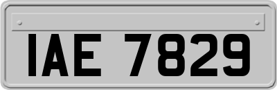 IAE7829