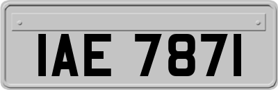 IAE7871