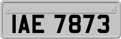 IAE7873