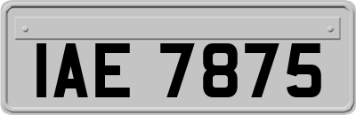 IAE7875