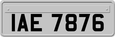 IAE7876