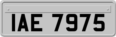 IAE7975
