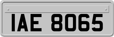 IAE8065